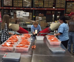 And these trays we're just for the first chorus. 